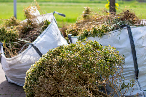 Best Trash Removal Near Me  in Bagley, MN